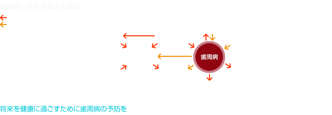歯周病と全身疾患との関係