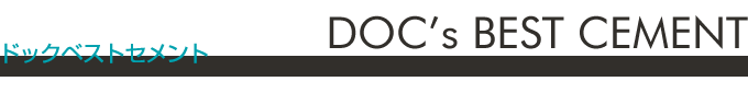 体に優しい虫歯治療ドックベストセメント